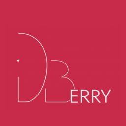 Logo DBerry
