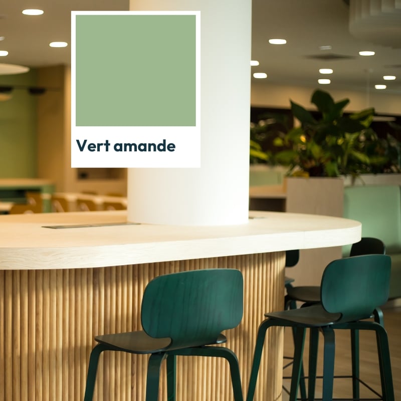 Mur et mobilier vert amande dans un restaurant d'entreprise