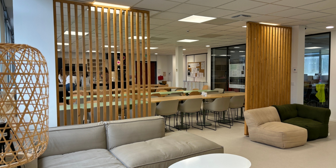 Aménagement de l'espace détente de Treefrog Therapeutics